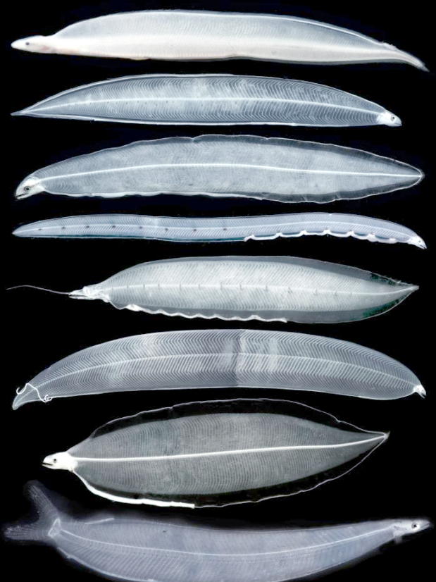 今年会体育 -.簺杗o奿$?鳗orY@ 